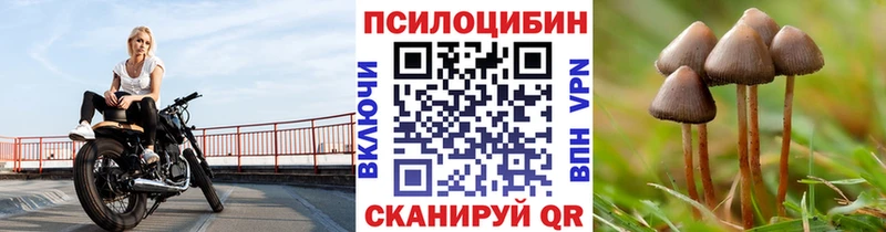 Галлюциногенные грибы мухоморы  Пойковский 
